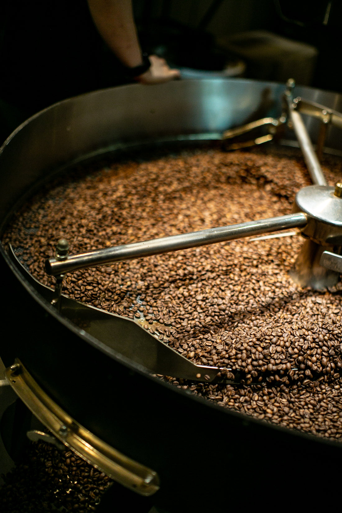 16 Years of Espresso Excellence: The Coco Espresso & Koko Coffee Legacy