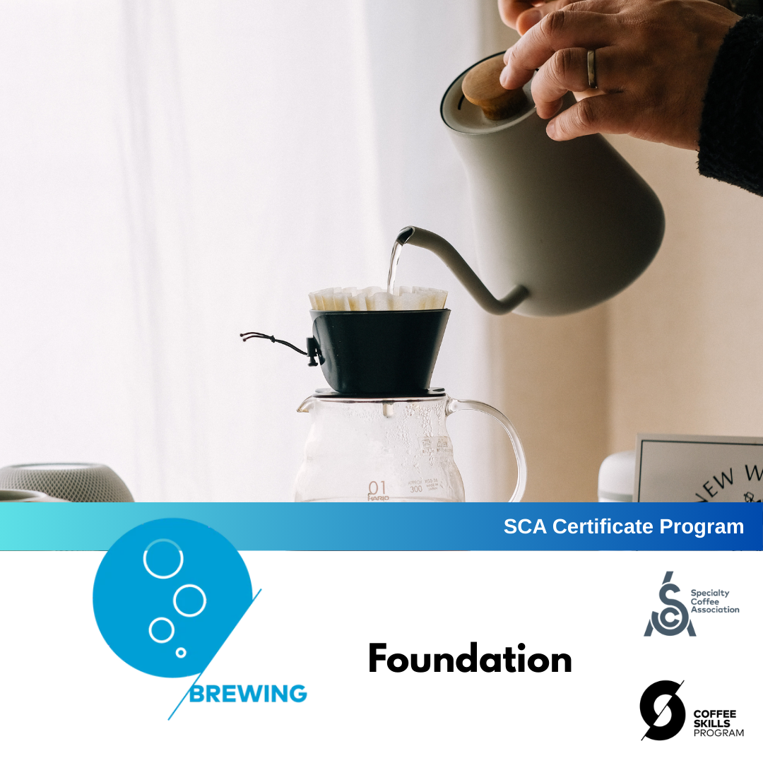 SCA Coffee Skills Program | BREWING (Foundation) By Keith Tse