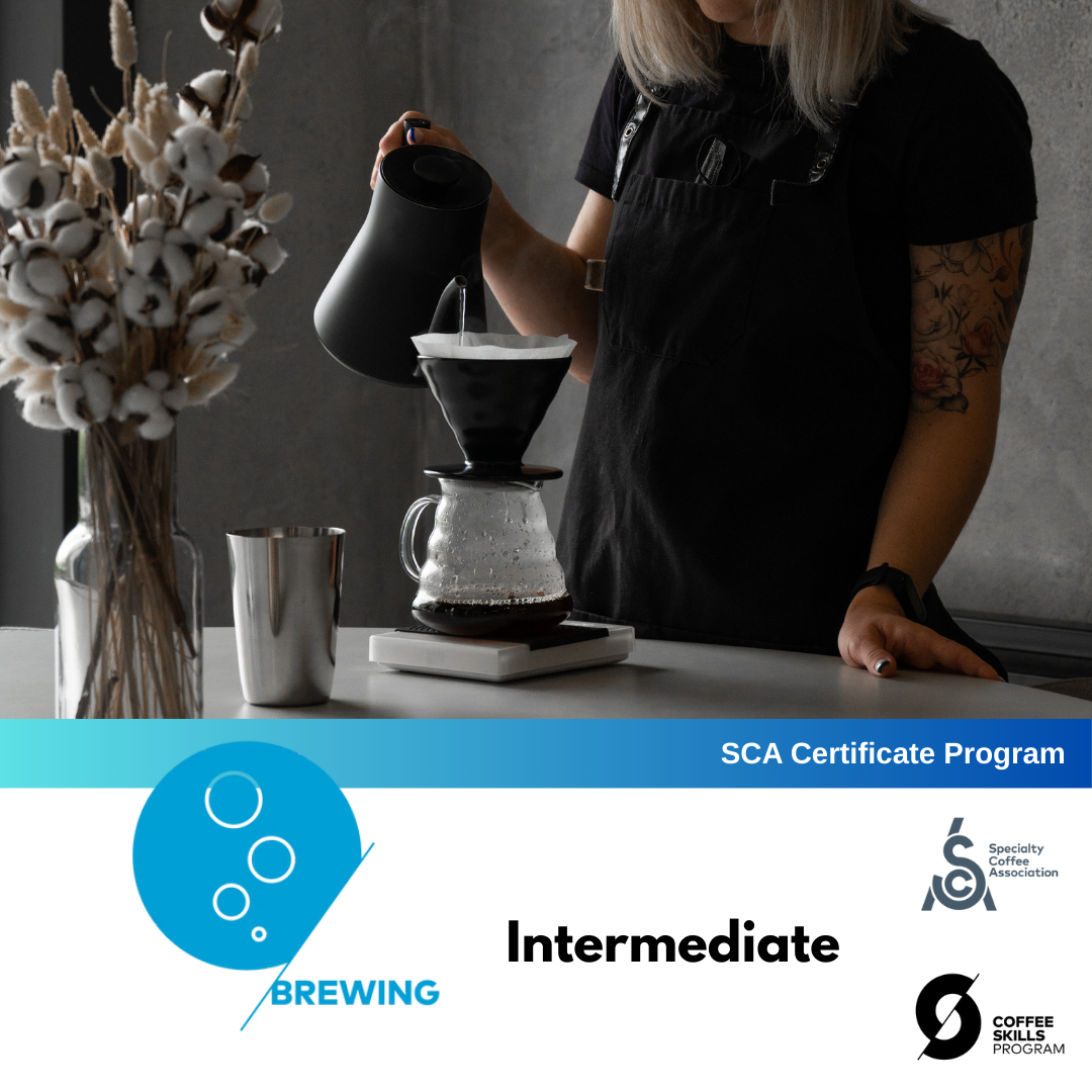 SCA Coffee Skills Program | BREWING (Intermediate) By Keith Tse