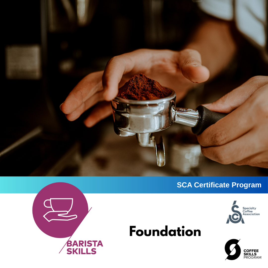 SCA Coffee Skills Program | BARISTA SKILLS (Foundation) By Keith Tse