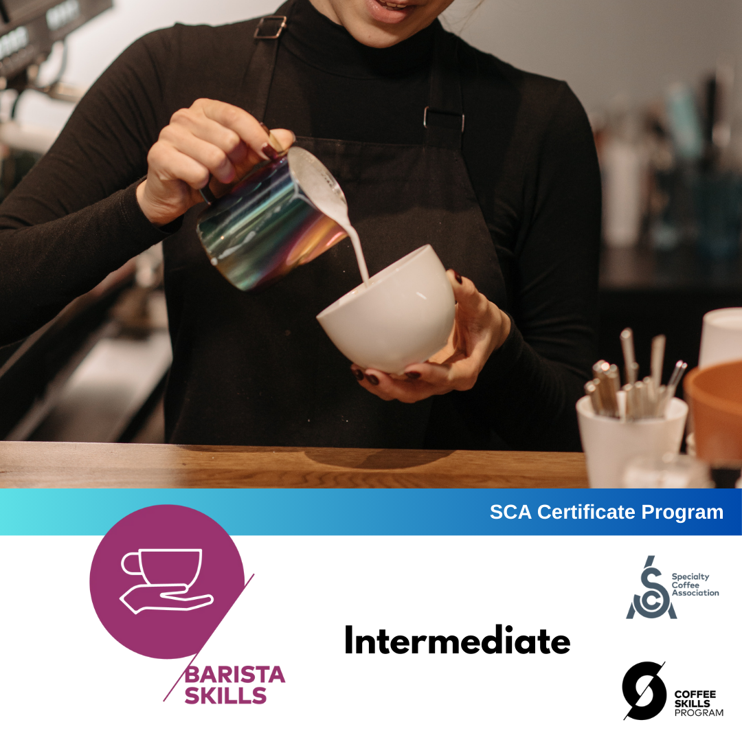 SCA Coffee Skills Program | BARISTA SKILLS (Intermediate) By Keith Tse