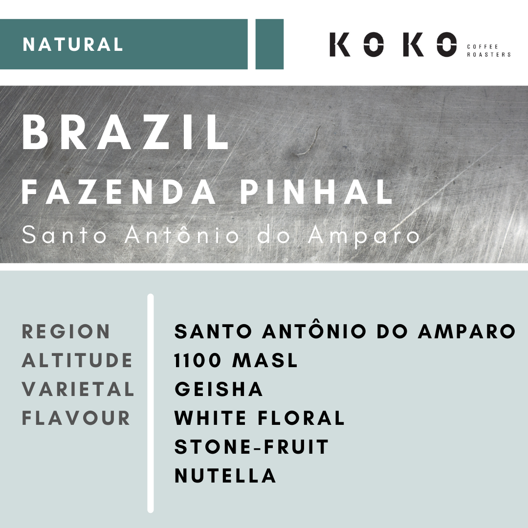 Brazil Fazenda Pinhal Geisha (Natural) 200g