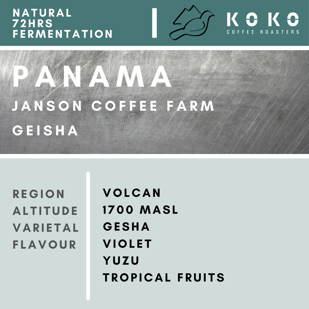 Panama Janson Coffee Farm Geisha Natural 100g KOKO COFFEE ROASTERS