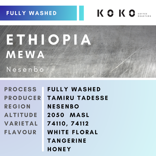 Ethiopia Mewa (Fully Washed) 150g