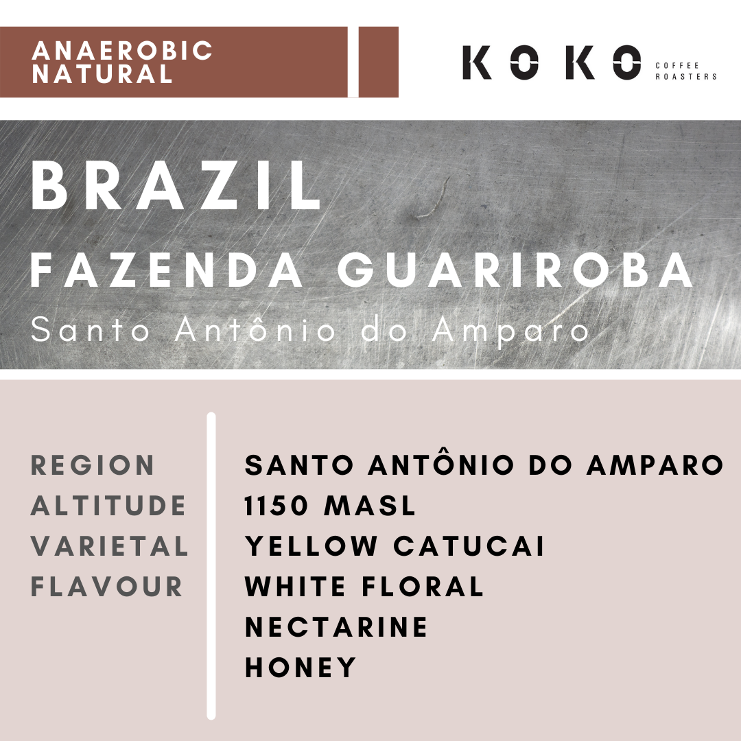 Brazil Fazenda Guariroba Y.Catucai (Anaerobic Natural) 200g