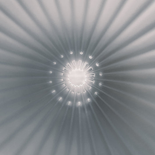 珈堂 M1 星芒濾杯「極」Kadou M1 Dripper Bone China Version 有田燒