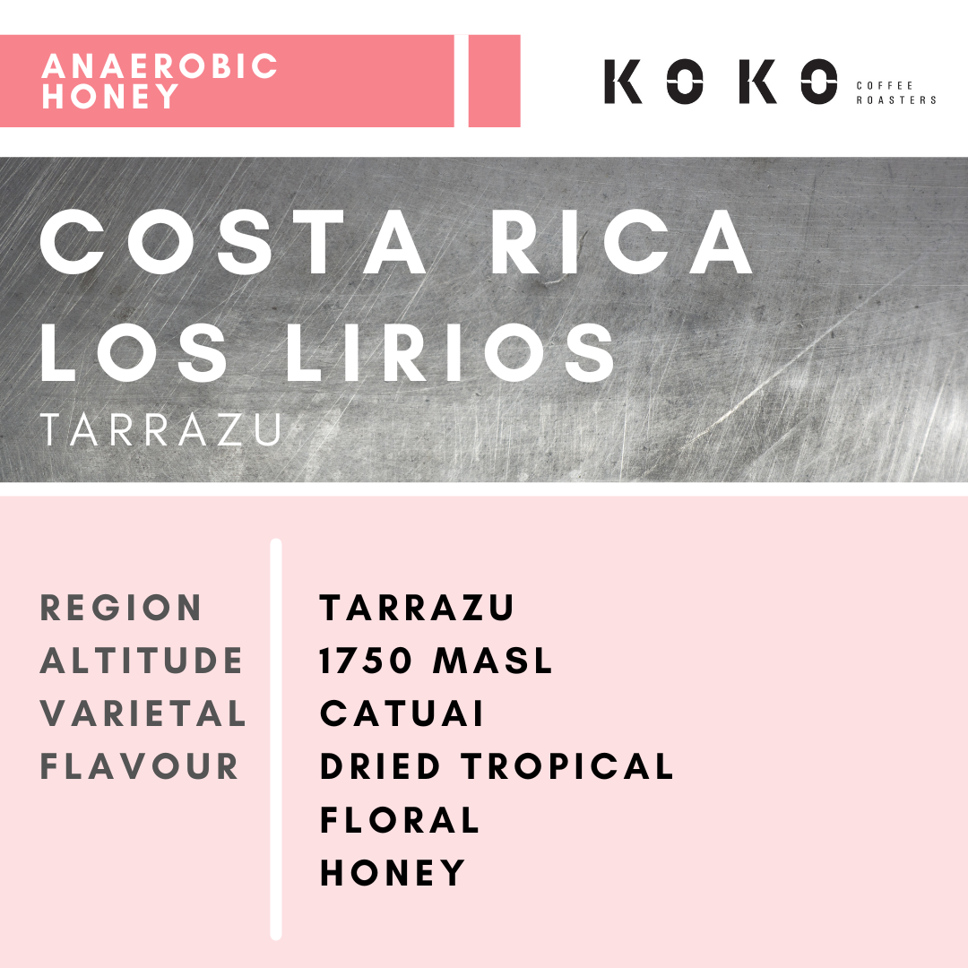 Costa Rica Los Lirios (Anaerobic Honey) 200g