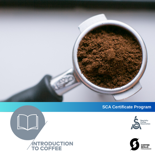 Coffee Skill Program SCA Program by Keith Tse – KOKO COFFEE ROASTERS