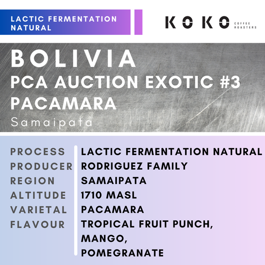 Bolivia PCA Auction Exotic #3 Pacamara 150g