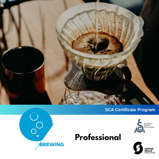 SCA Coffee Skills Program | BREWING (Professional) By Keith Tse