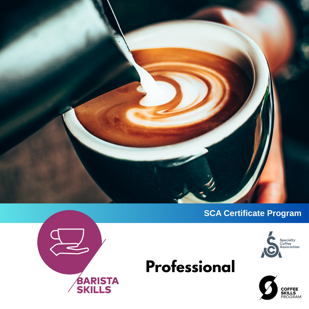 SCA Coffee Skills Program | BARISTA SKILLS (Professional) By Keith Tse ...