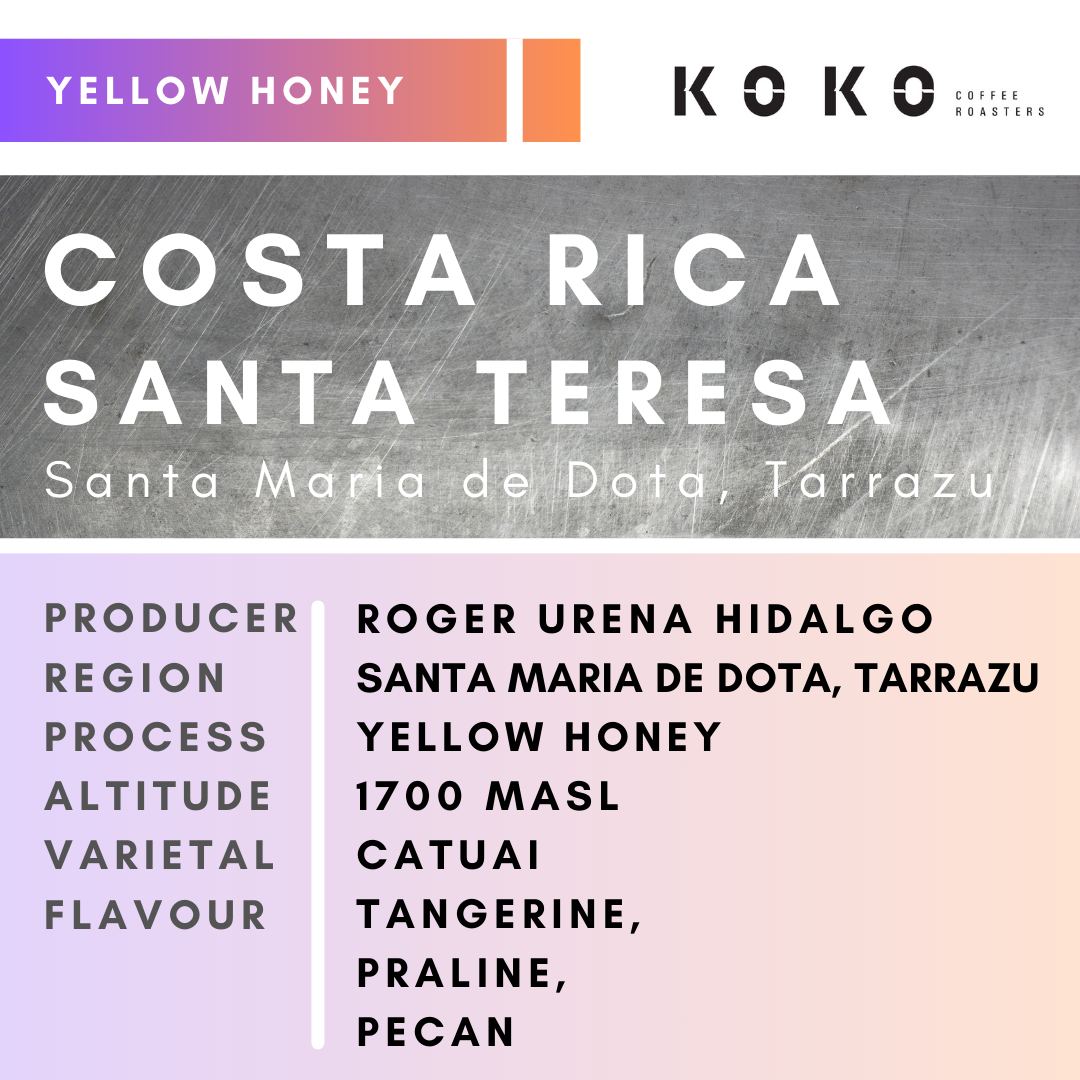 Costa Rica Santa Teresa (Yellow Honey) 150g