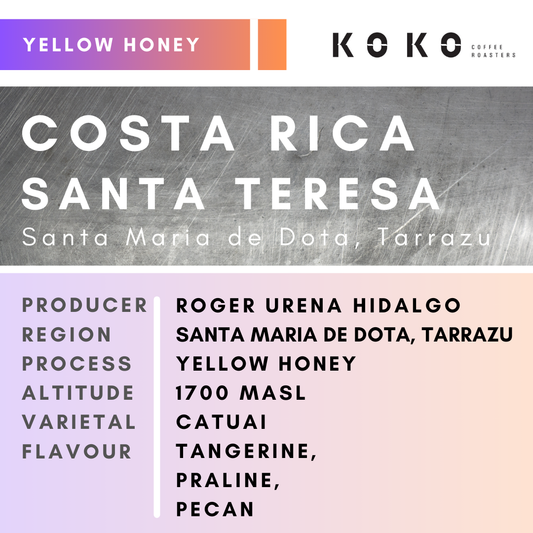 Costa Rica Santa Teresa (Yellow Honey) 150g