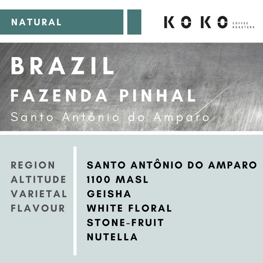 Brazil Fazenda Pinhal Geisha (Natural) 200g