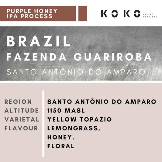 Brazil Fazenda Guariroba (Purple Honey IPA) 200g
