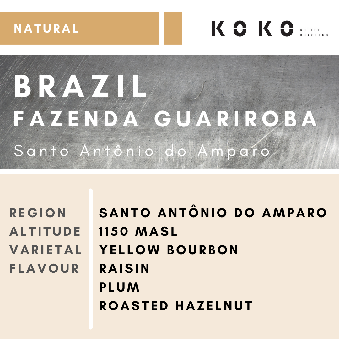 Brazil Fazenda Guariroba Yellow Bourbon (Natural) 200g