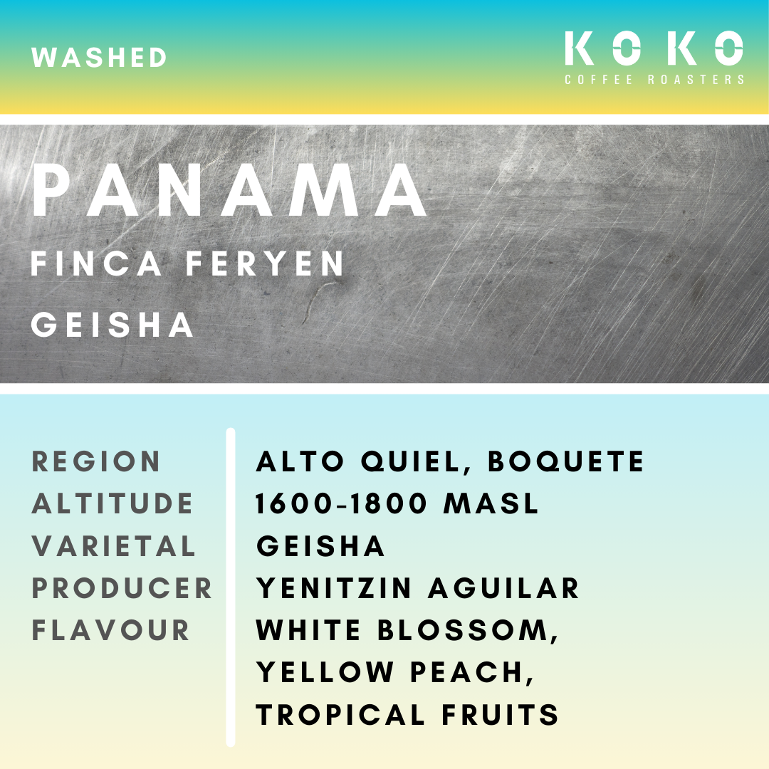 Panama Finca Feryen Geisha Washed 150g