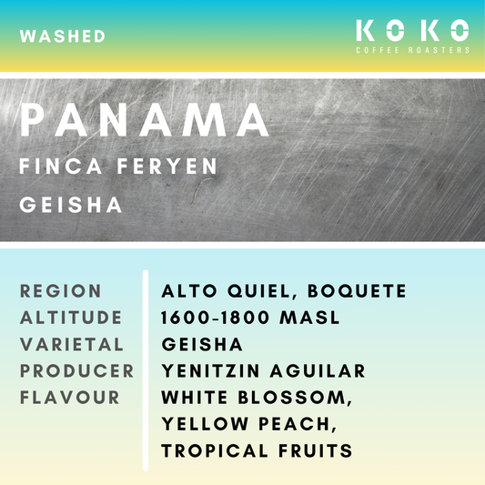 Panama Finca Feryen Geisha Washed 150g