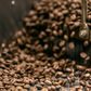 COCO X KOKO Coffee Certificate 2022