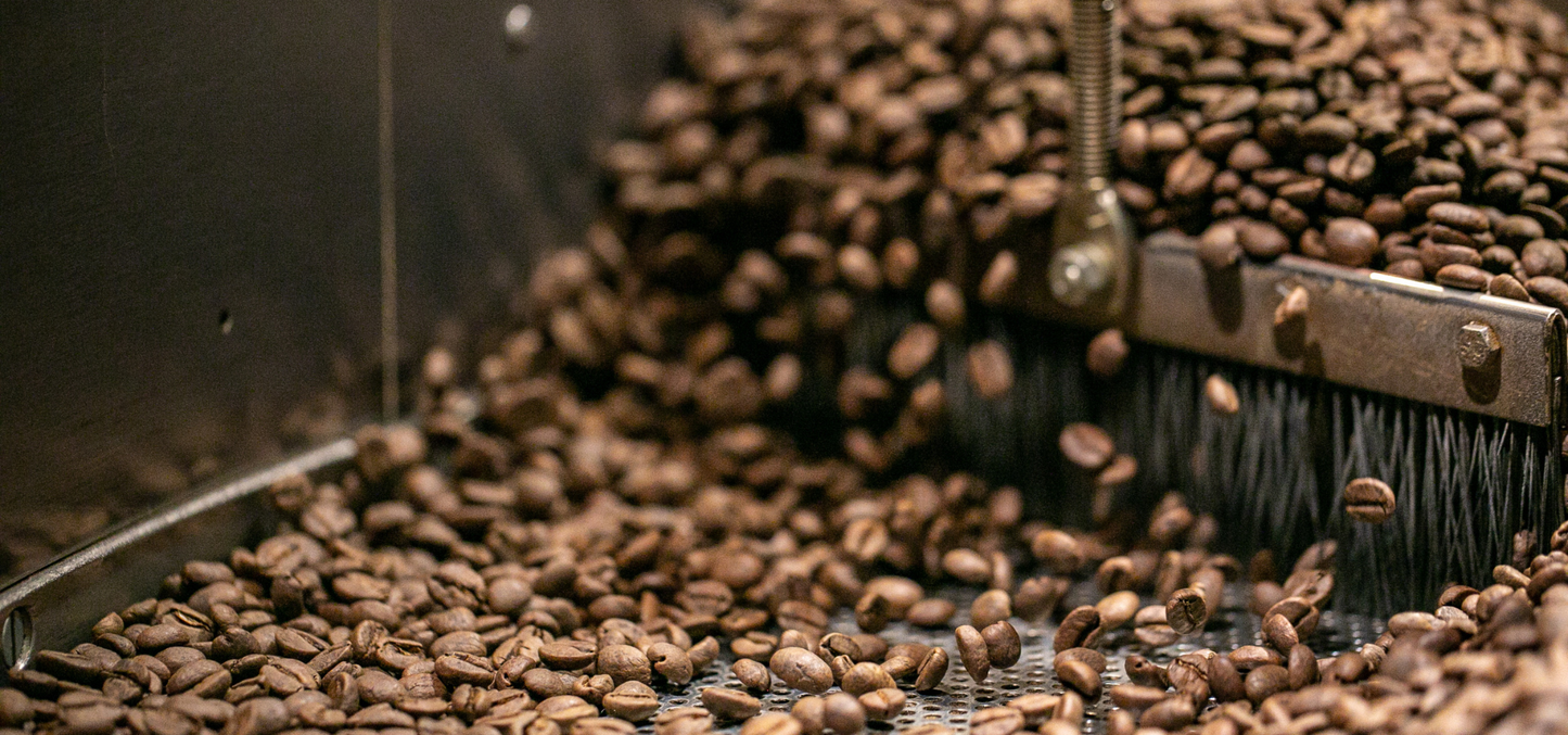COCO X KOKO Coffee Certificate 2023-24