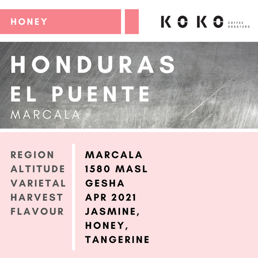 Honduras El Puente Gesha (Honey) 100g / 200g