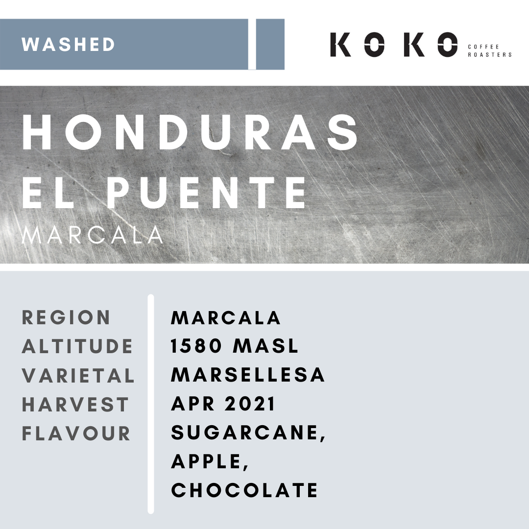 Honduras El Puente Marsellesa (Washed) 100g / 200g