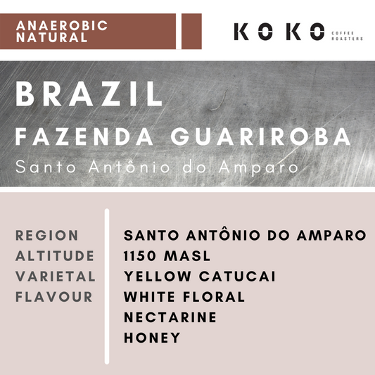 Brazil Fazenda Guariroba Y.Catucai (Anaerobic Natural) 200g