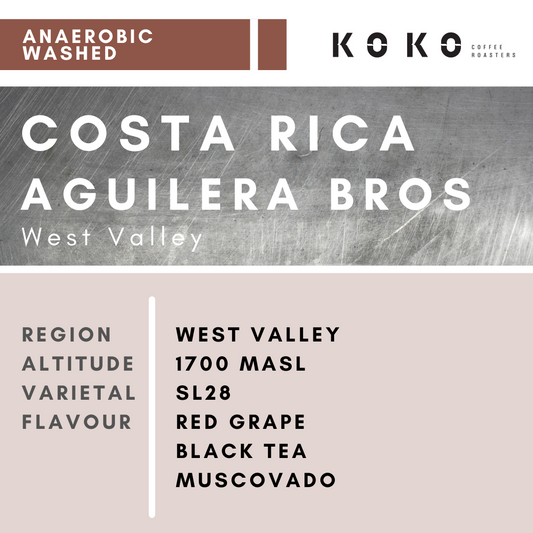 Costa Rica Aguilera Bros (Anaerobic Washed) 200g