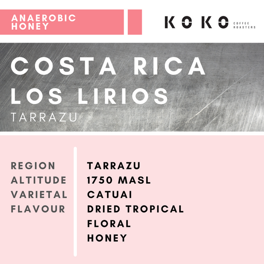 Costa Rica Los Lirios (Anaerobic Honey) 200g