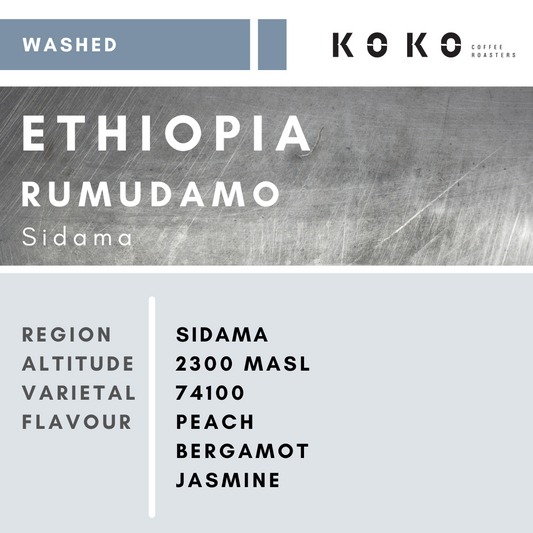 Ethiopia Rumudamo (Washed) 200g